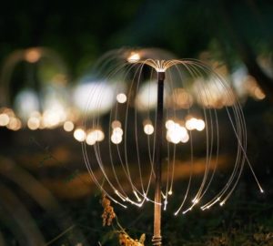 Fireflies lit up in Firefly Woods at dusk - dedicate a light on a Firefly for Firefly Appeal 2024