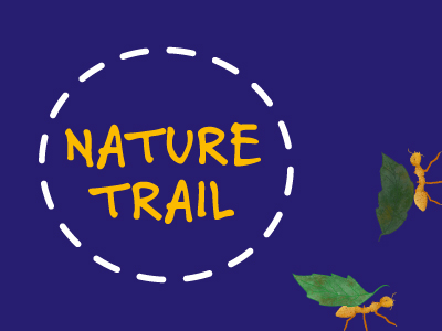 Interactive Nature Trail - Dorothy House