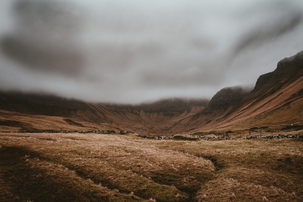 The wilderness of loneliness - Dementia carer support at Dorothy House