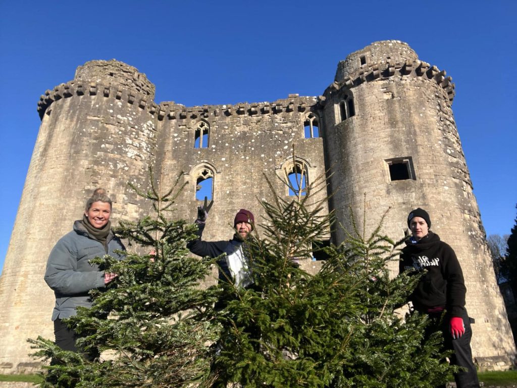 Dorothy House charity Christmas Tree collection 2025