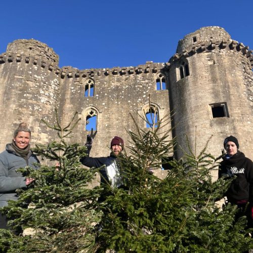 Dorothy House’s Christmas Tree Collection 2025